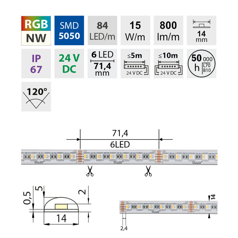 LED-Streifen RGB + Neutralweiß mit 15 Watt und 800 Lumen je Meter bei 24 Volt, IP67